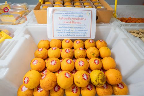 ภาพ No.297924:วันที่ 19 มกราคม พ.ศ. 2569 พิธีถวายภัตตาหารเป็นสังฆทาน แด่พระธรรมยาตรา ณ อนุสรณ์สถานบางปลา วัดบางปลา อำเภอบางเลน จังหวัดนครปฐม ในโครงการธรรมยาตรา กตัญญูบูชา มหาปูชนียาจารย์ พระมงคลเทพมุนี(สด จนฺทสโร) พระผู้ปราบมาร อนุสรณ์สถาน 7 แห่ง ปีที่ 14