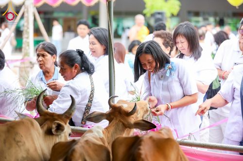 ภาพ No.344750:วันเสาร์ที่ 15 สิงหาคม พ.ศ. 2569 (สาย) พิธีบุพเปตพลีนานาชาติ ปีที่ 13 ณ ศูนย์ปฏิบัติธรรมภาคใต้ อ.บางกล่ำ จ.สงขลา