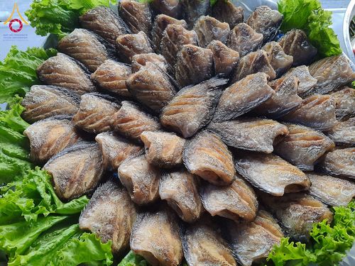 ภาพ No.201484:พิธีถวายภัตตาหารเป็นสังฆทาน แด่พระธรรมยาตรา ณ อนุสรณ์สถานบางปลา วัดบางปลา อำเภอบางเลน จังหวัดนครปฐม ในโครงการธรรมยาตรา กตัญญูบูชา มหาปูชนียาจารย์ พระมงคลเทพมุนี(สด จนฺทสโร) พระผู้ปราบมาร อนุสรณ์สถาน 7 แห่ง ปีที่ 13 วันที่ 25 มกราคม พ.ศ. 2568