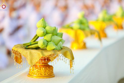 ภาพ No.101473:พิธีเวียนประทักษิณ, พิธีวันทาเจดีย์, พิธีขอขมาและมอบผ้าไตร ในโครงการอุปสมบทหมู่ รุ่นบูชาธรรมมหาปูชนียาจารย์ ณ วัดพระธรรมกาย ในวันที่ 9 ธันวาคม พ.ศ. 2566