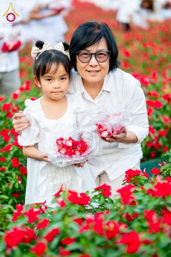 ภาพ No.185517:กิจกรรมเก็บดอกแพงรวย วันอาทิตย์ที่ 22 ธันวาคม พ.ศ. 2567 ณ ทุ่งสวรรค์ ตะวันฉาย วัดพระธรรมกาย