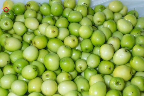 ภาพ No.192590:พิธีถวายภัตตาหารเป็นสังฆทาน แด่พระธรรมยาตรา ณ อนุสรณ์สถานคลองบางนางแท่น อ.สามพราน จ.นครปฐม ในโครงการธรรมยาตรา กตัญญูบูชา มหาปูชนียาจารย์ พระมงคลเทพมุนี(สด จนฺทสโร) พระผู้ปราบมาร อนุสรณ์สถาน 7 แห่ง ปีที่ 13 วันที่ 10 มกราคม พ.ศ. 2568