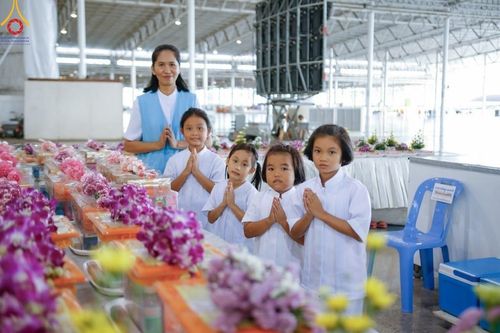 ภาพ No.186624:V.48 ผลงาน V-Peace ปลายปี 2567 ภาพโดย : ช่างภาพ V-Peace และ ช่างภาพศูนย์ภาพนิ่ง