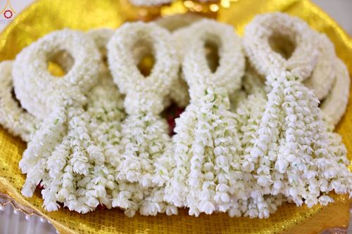 ภาพ No.251305:วันที่ 10 ตุลาคม พ.ศ. 2568 พิธีปฏิบัติธรรม ในวันคล้ายวันเกิด 141 ปี พระมงคลเทพมุนี (สด จนฺทสโร) พระผู้ปราบมาร ณ สภาธรรมกายสากล วัดพระธรรมกาย