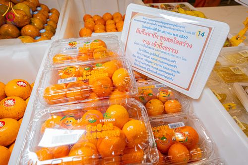 ภาพ No.305634:วันที่ 29 มกราคม พ.ศ. 2569 พิธีถวายภัตตาหารเป็นสังฆทาน แด่พระธรรมยาตรา ณ วัดพระธรรมกาย  จังหวัดปทุมธานี ในโครงการธรรมยาตรา กตัญญูบูชา มหาปูชนียาจารย์ พระมงคลเทพมุนี(สด จนฺทสโร) พระผู้ปราบมาร อนุสรณ์สถาน 7 แห่ง ปีที่ 14