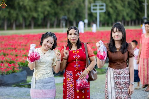 ภาพ No.281031:วันที่ 28 ธันวาคม พ.ศ.2568 กิจกรรมเก็บดอกแพงรวย ณ ทุ่งสวรรค์ตะวันฉาย วัดพระธรรมกาย