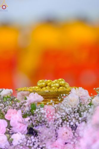 ภาพ No.82293:พิธีหล่อพระประธานเพื่อประดิษฐาน ณ มหาวิหารคด วันอาทิตย์ที่ 11 มิถุนายน พ.ศ. 2566 ณ สภาธรรมกายสากล วัดพระธรรมกาย