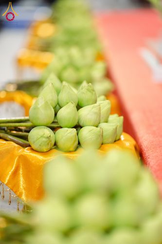 ภาพ No.286506:วันเสาร์ที่ 12 กรกฏาคม พ.ศ.2568 พิธีบรรพชาอุปสมบท  โครงการบรรพชาอุปสมบทหมู่ ธรรมทายาทนานาชาติ(ภาคภาษาจีน), โครงการบรรพชาสามเณร โรงเรียนนานาชาติ รุ่นที 14