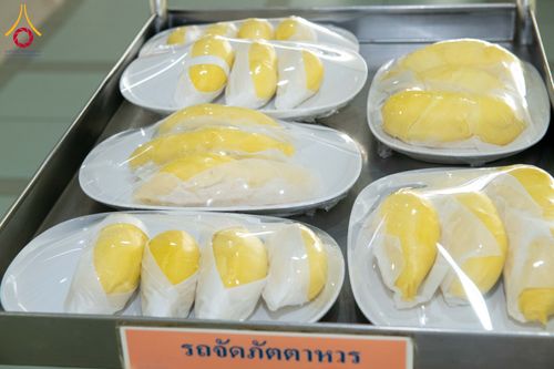 ภาพ No.326725:วันที่ 1 พฤษภาคม พ.ศ.2569 พิธีบุพเปตพลี ครั้งที่ 181 ร่วมอุทิศบุญแด่หมู่ญาติที่ล่วงลับไปแล้ว และสืบทอดอายุพระพุทธศาสนา ณ หอฉันคุณยายอาจารย์ฯ วัดพระธรรมกาย