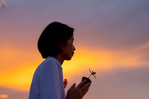 ภาพ No.253010:วันที่ 10 ตุลาคม พ.ศ. 2568 พิธีปลูกต้นทรัพย์บานชื่น ณ ลานธรรม วัดพระธรรมกาย