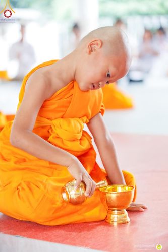 ภาพ No.161582:โครงการบรรพชาสามเณรภาคฤดูฝน รุ่นที่ 14 วันเสาร์ที่ 12 ตุลาคม พ.ศ. 2567  ณ ศูนย์ปฏิบัติธรรมสวนผึ้ง จังหวัดราชบุรี