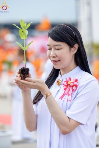 ภาพ No.160446:พิธีปลูกต้นทรัพย์บานชื่น ณ ลานธรรม พระมหาธรรมกายเจดีย์ วัดพระธรรมกาย จ.ปทุมธานี วันพฤหัสบดีที่ 10 ตุลาคม พ.ศ. 2567