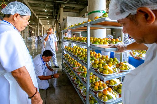 ภาพ No.325707:วันที่ 22 เมษายน พ.ศ.2569(วันคุ้มครองโลก) งานถวายมหาสังฆทาน 40,000 กว่าวัดทั่วประเทศ เจ้าหน้าที่ สาธุชน ร่วมใจจัดเตรียมภัตตาหารเพล (ชุด 2)