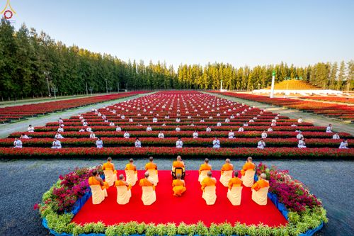 ภาพ No.280888:วันที่ 28 ธันวาคม พ.ศ.2568 กิจกรรมเก็บดอกแพงรวย ณ ทุ่งสวรรค์ตะวันฉาย วัดพระธรรมกาย