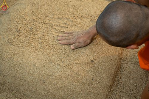 ภาพ No.140364:Photo Story มหัศจรรย์วัดดงดินแดง  EP.8  ภาพการเตรียมงาน การปฎิบัติงาน ของเหล่าผู้ทุ่มเทและเสียสละ เพื่อความสำเร็จของความมหัศจรรย์ ณ วัดดงดินแดง ต.ม่อนจอง อ.อมก๋อย จ.เชียงใหม่ วันที่ 1-7 เมษายน พ.ศ. 2567