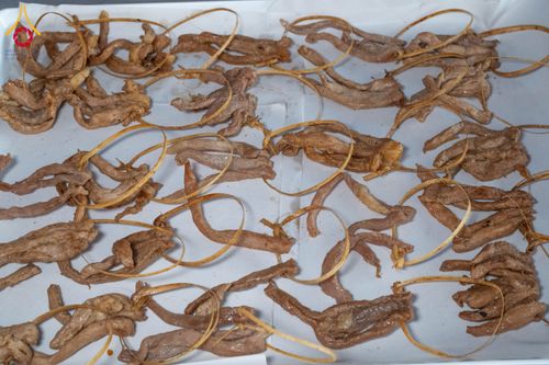 ภาพ No.192569:พิธีถวายภัตตาหารเป็นสังฆทาน แด่พระธรรมยาตรา ณ อนุสรณ์สถานคลองบางนางแท่น อ.สามพราน จ.นครปฐม ในโครงการธรรมยาตรา กตัญญูบูชา มหาปูชนียาจารย์ พระมงคลเทพมุนี(สด จนฺทสโร) พระผู้ปราบมาร อนุสรณ์สถาน 7 แห่ง ปีที่ 13 วันที่ 10 มกราคม พ.ศ. 2568