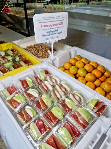 ภาพ No.118751:พิธีถวายภัตตาหารเป็นสังฆทาน แด่คณะพระธรรมยาตรา วันที่ 25 มกราคม พ.ศ. 2567 ณ อนุสรณ์สถานบางนางแท่น จ.นครปฐม