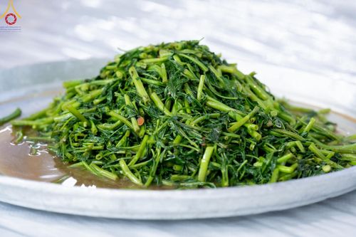 ภาพ No.60244:คณะสงฆ์ 10,000 กว่าวัดฉันภัตตาหารเพล ในวันคุ้มครองโลก วันจันทร์ที่ 22 เมษายน พ.ศ. 2567 ณ สภาธรรมกายสากล วัดพระธรรมกาย