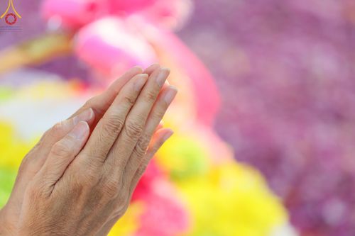 ภาพ No.110420:พิธีต้อนรับพระธรรมยาตรา ในโครงการธรรมยาตรากตัญญูบูชา มหาปูชนียาจารย์ พระมงคลเทพมุนี(สด จนฺทสโร) พระผู้ปราบมาร อนุสรณ์สถาน 7 แห่ง ปีที่ 12 วันที่ 11 มกราคม พ.ศ. 2567 ณ อนุสรณ์สถานลำดับที่ 3 สถานที่เกิดใหม่ในเพศสมณะ วัดสองพี่น้อง จ.สุพรรณบุรี