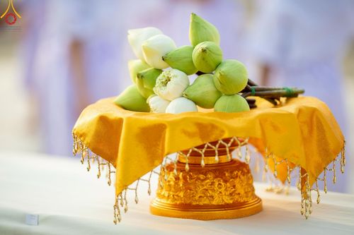 ภาพ No.214981:วันเสาร์ที่ 5 เมษายน พ.ศ. 2568 พิธีเวียนประทักษิณรอบพระมหาธรรมกายเจดีย์  พิธีวันทาเจดีย์ พิธีขอขมาและมอบผ้าไตร ในโครงการบรรพชาสามเณรฟื้นฟูพระพุทธศาสนาทั่วไทย , โครงการหน่อแก้วเปรียญธรรม รุ่นที่ 13 ,  โครงการสามเณรยุวธรรมทายาท รุ่นที่ 33 , โครงการสามเณรมั