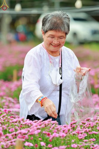 ภาพ No.66661:สาธุชนรับบุญตัดดอกทรัพย์บานชื่น ระหว่างวันที่ 9-10 ธันวาคม พ.ศ. 2565 ณ วัดพระธรรมกาย