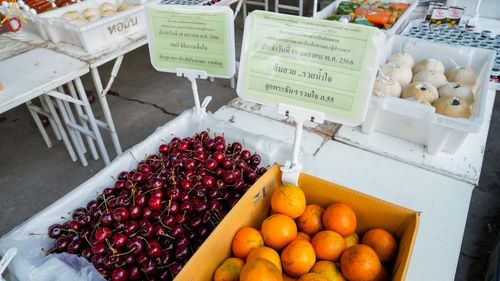 ภาพ No.72163:พิธีถวายภัตตาหารเป็นสังฆทาน แด่คณะพระธรรมยาตราฯ ในโครงการธรรมยาตรากตัญญูบูชา มหาปูชนียาจารย์ พระมงคลเทพมุนี(สด จนฺทสโร) พระผู้ปราบมาร อนุสรณ์สถาน 7 แห่ง ปีที่ 11 วันที่ 18 มกราคม พ.ศ. 2566