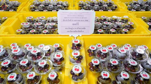 ภาพ No.75148:พิธีถวายภัตตาหารเป็นสังฆทาน แด่คณะพระธรรมยาตราฯ ในโครงการธรรมยาตรากตัญญูบูชา มหาปูชนียาจารย์ พระมงคลเทพมุนี(สด จนฺทสโร) พระผู้ปราบมาร อนุสรณ์สถาน 7 แห่ง ปีที่ 11 วันที่ 31 มกราคม พ.ศ. 2566