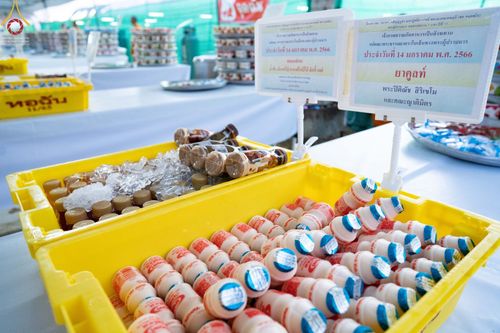 ภาพ No.71179:พิธีถวายภัตตาหารเป็นสังฆทาน แด่คณะพระธรรมยาตราฯ ในโครงการธรรมยาตราฯ ปีที่ 11 ณ อนุสรณ์สถานคลองบางนางแท่น อ.สามพราน จ.นครปฐม วันที่ 14 มกราคม พ.ศ. 2566