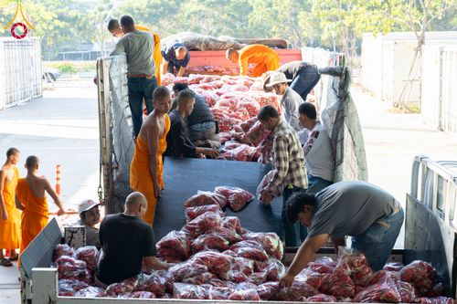 ภาพ No.279448:วันที่ 19-26 ธันวาคม พ.ศ. 2568 และ วันที่ 1 มกราคม พ.ศ.2569 รับบุญปลิดกลีบดอกไม้ เพื่อโปรยต้อนรับพระธรรมยาตรา