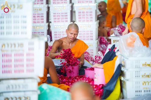 ภาพ No.279498:วันที่ 19-26 ธันวาคม พ.ศ. 2568 และ วันที่ 1 มกราคม พ.ศ.2569 รับบุญปลิดกลีบดอกไม้ เพื่อโปรยต้อนรับพระธรรมยาตรา