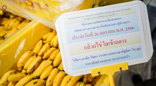 ภาพ No.74452:พิธีถวายภัตตาหารเป็นสังฆทาน แด่คณะพระธรรมยาตราฯ ในโครงการธรรมยาตรากตัญญูบูชา มหาปูชนียาจารย์ พระมงคลเทพมุนี(สด จนฺทสโร) พระผู้ปราบมาร อนุสรณ์สถาน 7 แห่ง ปีที่ 11 วันที่ 26 มกราคม พ.ศ. 2566