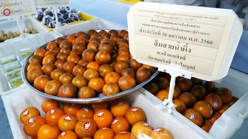 ภาพ No.74674:พิธีถวายภัตตาหารเป็นสังฆทาน แด่คณะพระธรรมยาตราฯ ในโครงการธรรมยาตรากตัญญูบูชา มหาปูชนียาจารย์ พระมงคลเทพมุนี(สด จนฺทสโร) พระผู้ปราบมาร อนุสรณ์สถาน 7 แห่ง ปีที่ 11 วันที่ 28 มกราคม พ.ศ. 2566