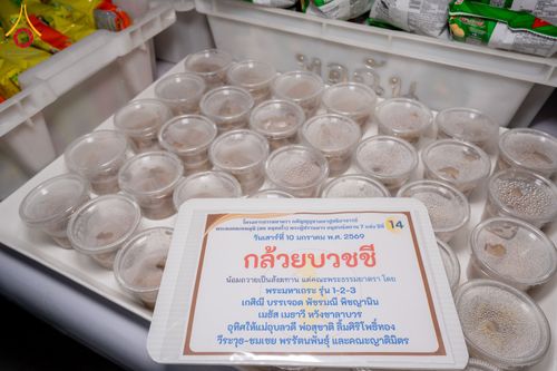 ภาพ No.291400:วันที่ 10 มกราคม พ.ศ. 2569 พิธีถวายภัตตาหารเป็นสังฆทาน แด่พระธรรมยาตรา ณ อนุสรณ์สถานคลองบางนางแท่น อ.สามพราน จ.นครปฐม ในโครงการธรรมยาตรา กตัญญูบูชา มหาปูชนียาจารย์ พระมงคลเทพมุนี(สด จนฺทสโร) พระผู้ปราบมาร อนุสรณ์สถาน 7 แห่ง ปีที่ 14