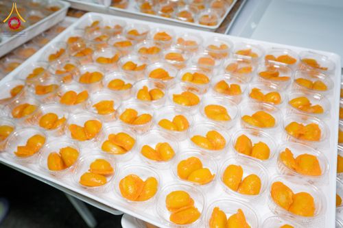 ภาพ No.288319:วันที่ 5 มกราคม พ.ศ. 2569 พิธีถวายภัตตาหารเป็นสังฆทาน แด่พระธรรมยาตรา ในโครงการธรรมยาตรา กตัญญูบูชา มหาปูชนียาจารย์ พระมงคลเทพมุนี(สด จนฺทสโร) พระผู้ปราบมาร อนุสรณ์สถาน 7 แห่ง ปีที่ 14 ณ อนุสรณ์สถานมหาวิหารพระมงคลเทพมุนี (โลตัสแลนด์) อ.สองพี่น้อง จ.สุพรร