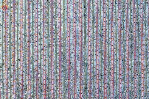 ภาพ No.187818:พิธีตักบาตรฉลองพระใหม่ ต้อนรับพุทธศักราช 2568 ณ ลานธรรมพระมหาธรรมกายเจดีย์ วัดพระธรรมกาย จ.ปทุมธานี วันที่ 1 มกราคม พ.ศ. 2568