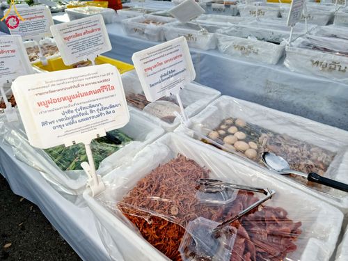 ภาพ No.111932:พิธีถวายภัตตาหารเป็นสังฆทาน แด่คณะพระธรรมยาตราฯ ในโครงการธรรมยาตรา กตัญญูบูชา มหาปูชนียาจารย์ พระมงคลเทพมุนี(สด จนฺทสโร) พระผู้ปราบมาร อนุสรณ์สถาน 7 แห่ง ปีที่ 12 วันที่ 14 มกราคม พ.ศ. 2567 ณ อนุสรณ์สถานมหาวิหารพระมงคลเทพมุนี  (โลตัสแลนด์) อ.สองพี่น้อง จ