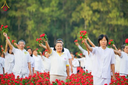 ภาพ No.185483:กิจกรรมเก็บดอกแพงรวย วันอาทิตย์ที่ 22 ธันวาคม พ.ศ. 2567 ณ ทุ่งสวรรค์ ตะวันฉาย วัดพระธรรมกาย