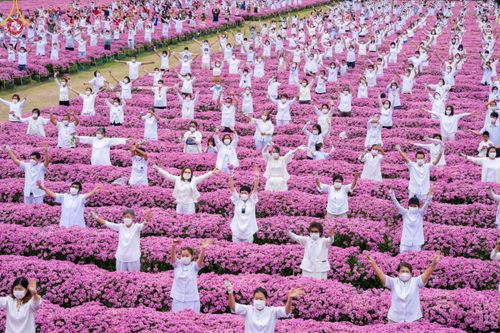 ภาพ No.104033:สาธุชนร่วมรับบุญเก็บดอกเบญจทรัพย์ ในวันอาทิตย์ที่ 24 ธันวาคม พ.ศ. 2566 ณ ทุ่งสวรรค์ตะวันฉาย บริเวณวัดพระธรรมกาย จ.ปทุมธานี