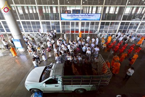 ภาพ No.238114:วันอังคารที่ 12 สิงหาคม พ.ศ. 2568 กิจกรรมวันแม่แห่งชาติ พิธีเปิดห้องปฎิบัติธรรม "กลางใส ใจสว่าง" (World Inner Peace Meditation Room) พิธีลูกกราบคุณแม่-คุณพ่อ พิธีทอดผ้าป่ากองทุนเลี้ยงพระ&กฐิน 30,000 วัด(บูชาธรรมหลวงพ่อ) พิธีไถ่โคท้อง 2 ตัว  ณ วิหารคด 2 ว