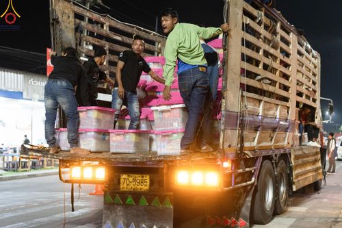 ภาพ No.185591:V.47 เบื้องหลังของเบื้องหน้า งานตักบาตรพระ 10,000 รูป ณ จ.กาญจนบุรี วันที่ 20-21 ธันวาคม พ.ศ. 2567