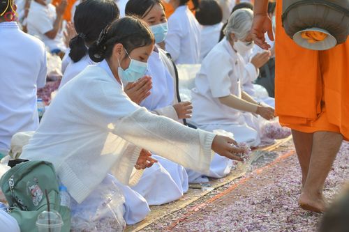 ภาพ No.72368:พิธีต้อนรับพระธรรมยาตรา ในโครงการธรรมยาตรากตัญญูบูชา มหาปูชนียาจารย์ พระมงคลเทพมุนี(สด จนฺทสโร) พระผู้ปราบมาร อนุสรณ์สถาน 7 แห่ง ปีที่ 11 วันที่ 18 มกราคม พ.ศ. 2566 ณ อนุสรณ์สถานลำดับที่ 4 สถานที่เกิดด้วยกายธรรม วัดโบสถ์ (บน) บางคูเวียง อ.บางกรวย จ.นนทบุ