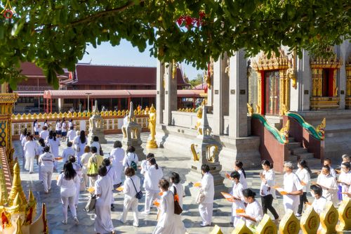 ภาพ No.288581:วันที่ 5 มกราคม พ.ศ. 2569 พิธีทอดผ้าป่าทำนุบำรุงศาสนสถาน ณ วัดตรีพาราสีมาเขต จ.พระนครศรีอยุธยา ในโครงการธรรมยาตรา กตัญญูบูชา มหาปูชนียาจารย์ พระมงคลเทพมุนี(สด จนฺทสโร) พระผู้ปราบมาร อนุสรณ์สถาน 7 แห่ง ปีที่ 14