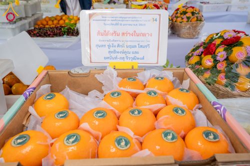 ภาพ No.294888:วันที่ 15 มกราคม พ.ศ. 2569 พิธีถวายภัตตาหารเป็นสังฆทาน แด่พระธรรมยาตรา ณ วัดโบสถ์บน ต.บางคูเวียง จ.นนทบุรี อนุสรณ์สถานลำดับที่ 4 สถานที่เกิดด้วยกายธรรม ในโครงการธรรมยาตรา กตัญญูบูชา มหาปูชนียาจารย์ พระมงคลเทพมุนี(สด จนฺทสโร) พระผู้ปราบมาร อนุสรณ์สถาน 7 แ