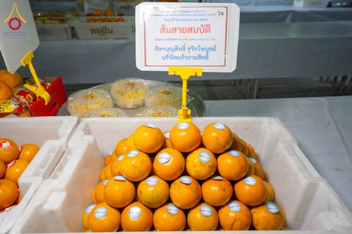 ภาพ No.301114:วันที่ 23 มกราคม พ.ศ. 2569 พิธีถวายภัตตาหารเป็นสังฆทาน แด่พระธรรมยาตรา ณ อนุสรณ์สถานบางปลา วัดบางปลา อำเภอบางเลน จังหวัดนครปฐม ในโครงการธรรมยาตรา กตัญญูบูชา มหาปูชนียาจารย์ พระมงคลเทพมุนี(สด จนฺทสโร) พระผู้ปราบมาร อนุสรณ์สถาน 7 แห่ง ปีที่ 14