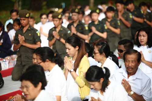 ภาพ No.30019:พิธีถวายสังฆทานแด่คณะสงฆ์ 323 วัด ใน 4 จังหวัดภาคใต้ ครั้งที่ 133