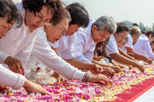 ภาพ No.31951:โครงการธรรมยาตรา เส้นทางพระผู้ปราบมาร ปีที่ 6 ณ วัดพระธรรมกาย