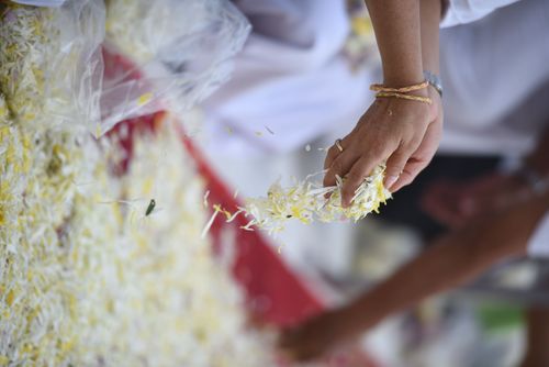 ภาพ No.31868:โครงการธรรมยาตรา เส้นทางพระผู้ปราบมาร ปีที่ 6 ณ วัดพระธรรมกาย