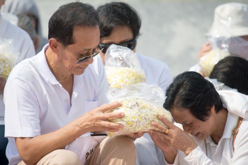 ภาพ No.32021:โครงการธรรมยาตรา เส้นทางพระผู้ปราบมาร ปีที่ 6 ณ วัดพระธรรมกาย
