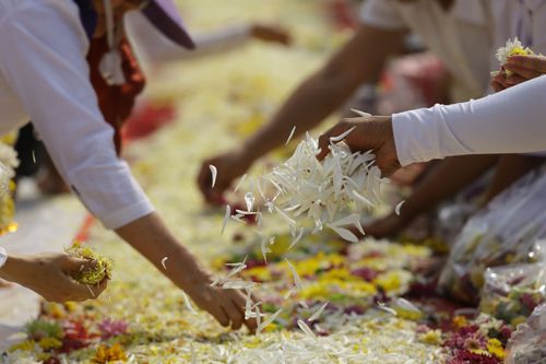 ภาพ No.31888:โครงการธรรมยาตรา เส้นทางพระผู้ปราบมาร ปีที่ 6 ณ วัดพระธรรมกาย