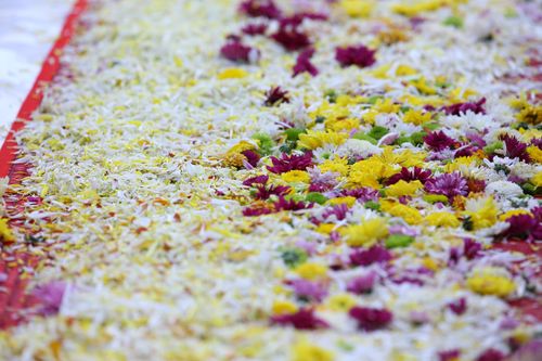 ภาพ No.32013:โครงการธรรมยาตรา เส้นทางพระผู้ปราบมาร ปีที่ 6 ณ วัดพระธรรมกาย